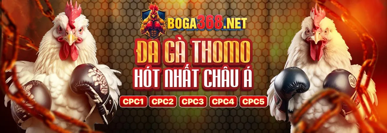 Hình ảnh chính về 13wim khuyến mãi, nâng cao trải nghiệm cá cược trực tuyến