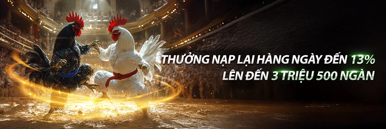 Banner liên hệ 13wim khuyến mãi